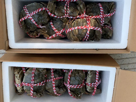 大閘蟹海鮮泡沫包裝箱